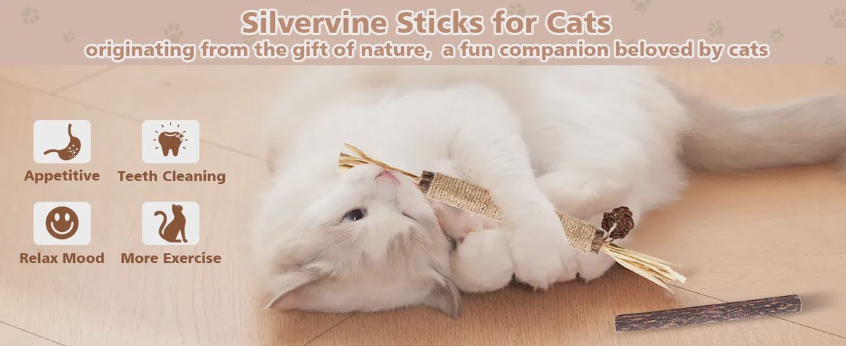 A fluffy white cat playing with WOUSEDO silvervine sticks for cats. Promotional banner highlighting natural ingredients, teeth cleaning, relaxation, and exercise benefits for cats.