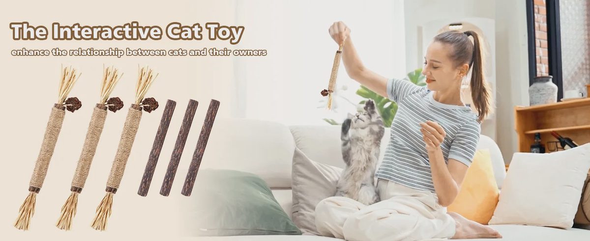 Silvervine sticks for cats promotional banner featuring a white cat chewing on a natural chew stick, with text "Natural, Safe, Fun" and a "Shop Now" button.
