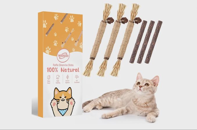 Silvervine Sticks for Cats: A Natural Way to Tackle Bad Breath, Boredom, and Destructive Chewing