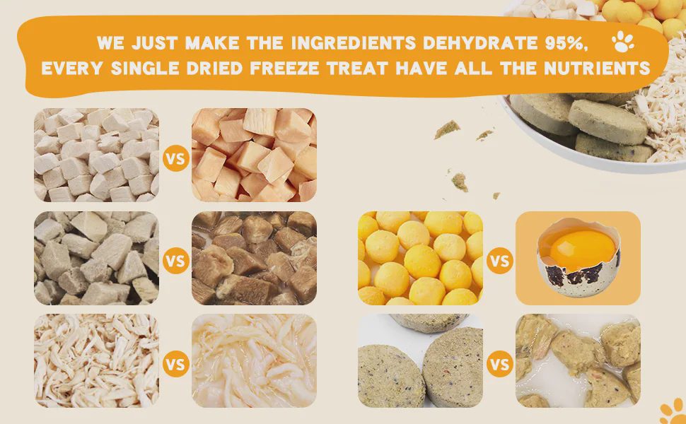 Infographic comparing freeze-dried vs regular pet treats, showing 95% dehydration and preserved nutrients.