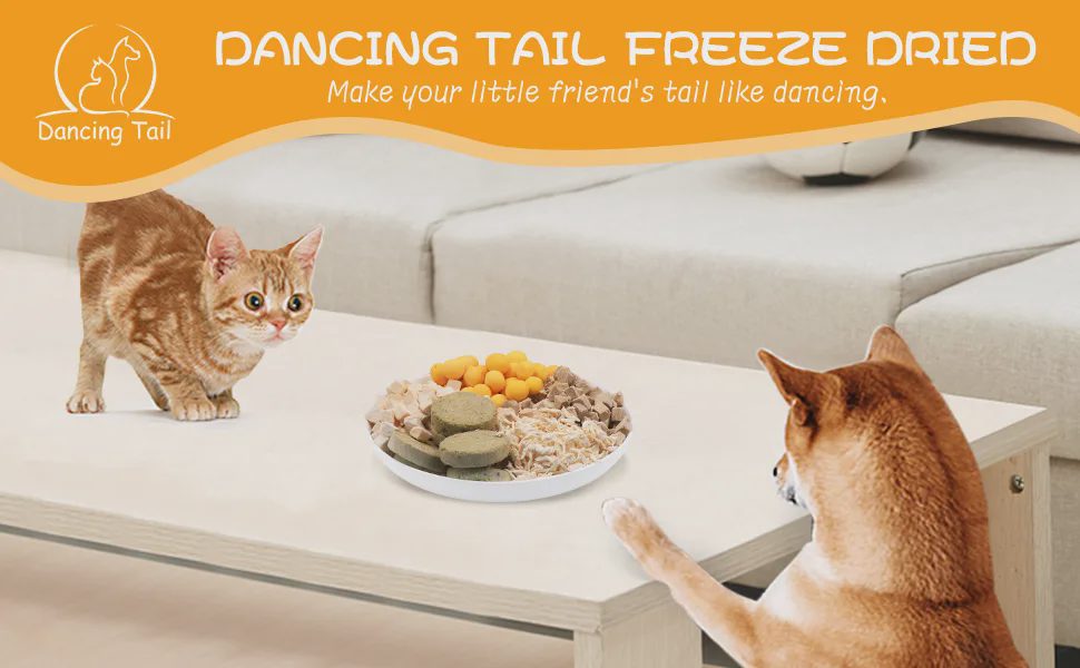 Dancing Tail freeze-dried pet treats banner; cat and dog watching a plate of mixed freeze-dried snacks on a table.