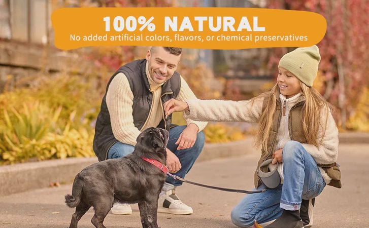 Freeze Dried Chicken Treats for Dogs and Cats: Dancing Tail Chicken Cube Review