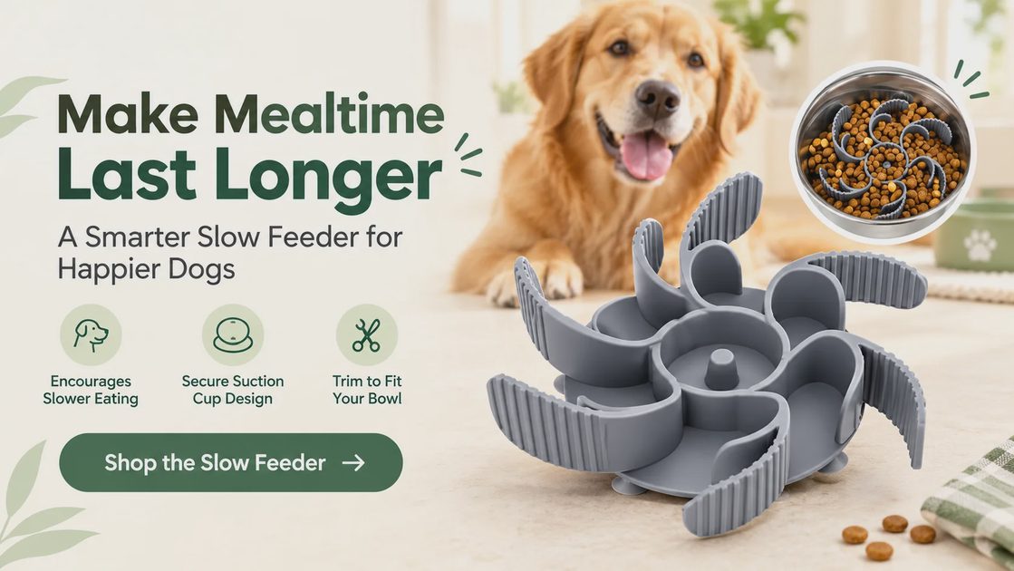 Make Mealtime Last Longer.png