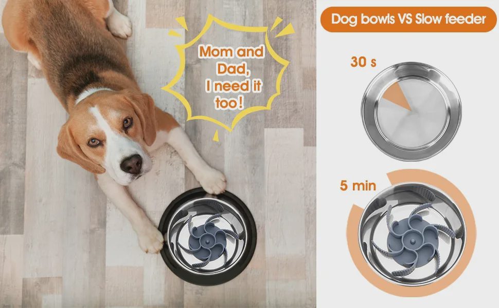 A Beagle lying on the floor touching a slow feeder bowl, with a comparison chart on the right showing eating times.