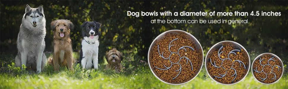 The Slow Feeder Dog Bowl Insert That Turns Any Bowl Into a Bloat-Prevention Tool (Without Buying a New Bowl)